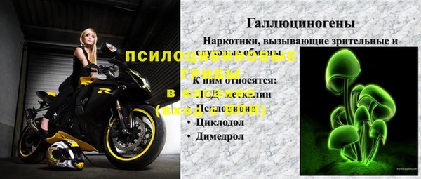 круглые Абаза