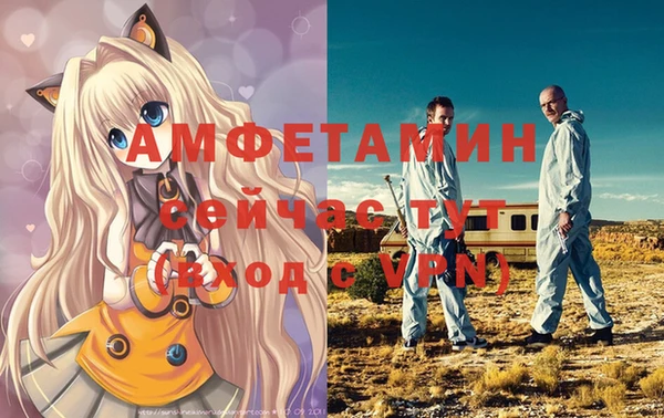 круглые Абаза