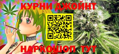 гашик Бузулук