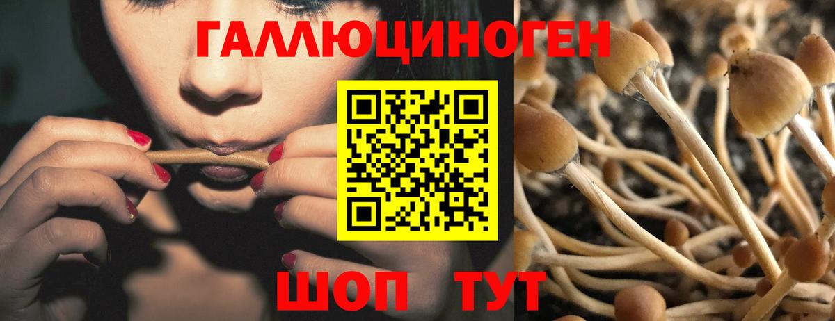 Бугуруслан  Псилоцибиновые грибы Magic Shrooms  Вход с VPN 