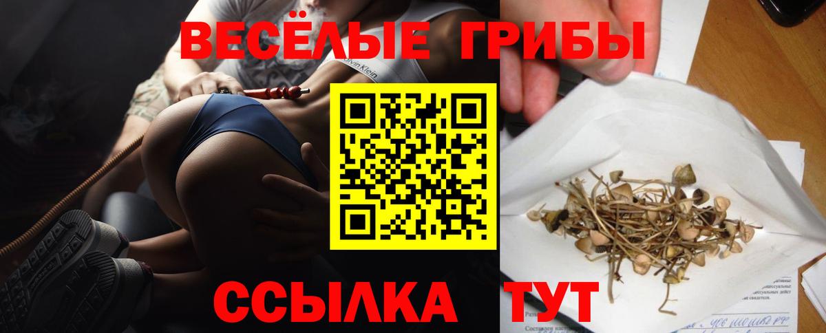 Псилоцибиновые грибы GOLDEN TEACHER Бугуруслан
